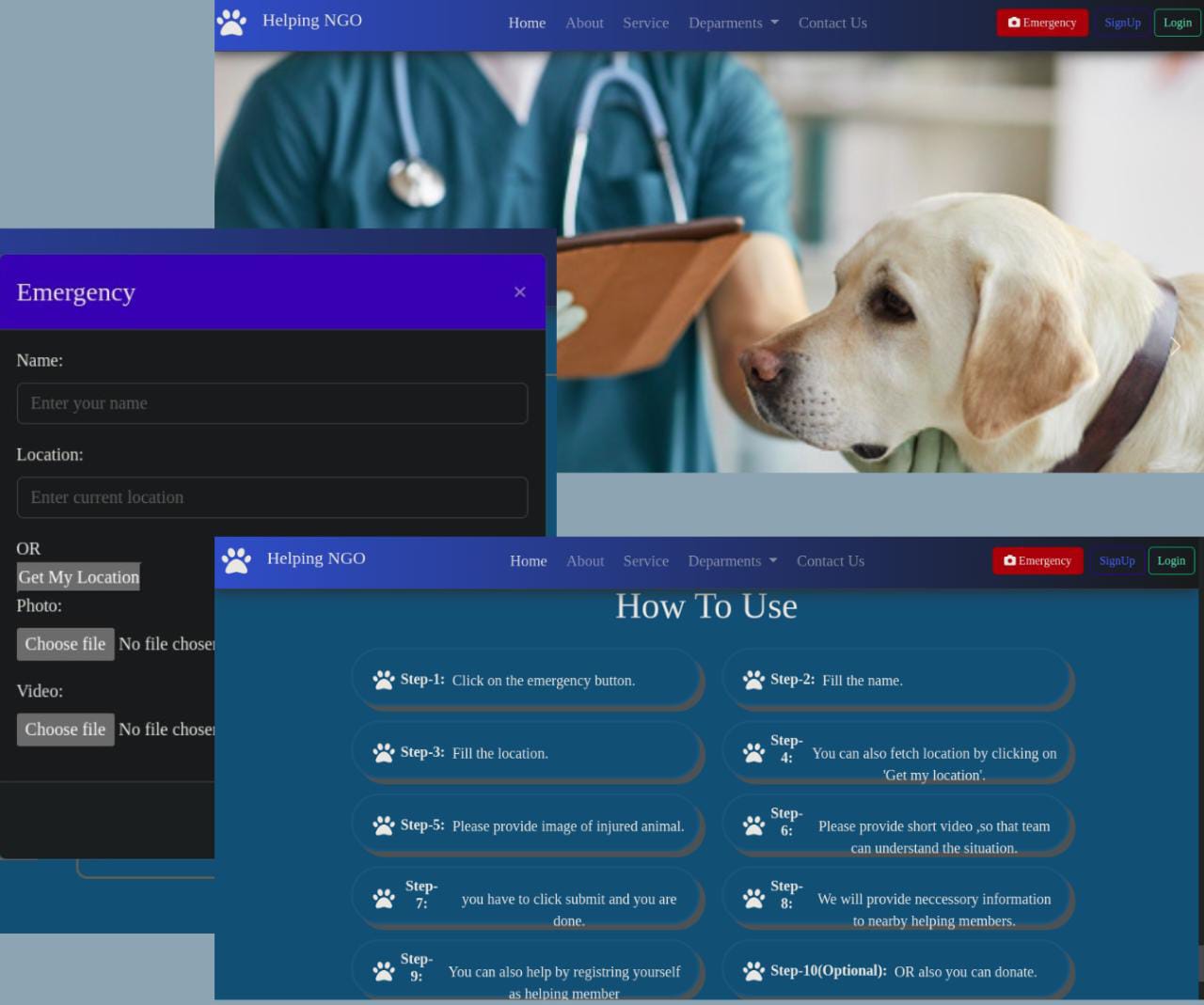 Web Design